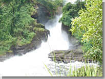 Die oder besser der Murchison Fall(s)